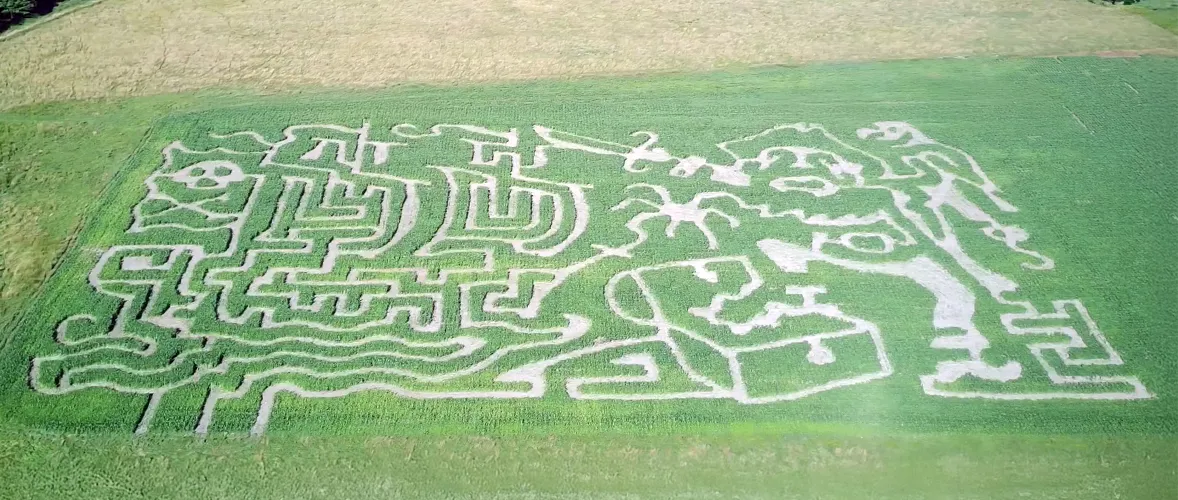 Pirate Themed Corn Maze