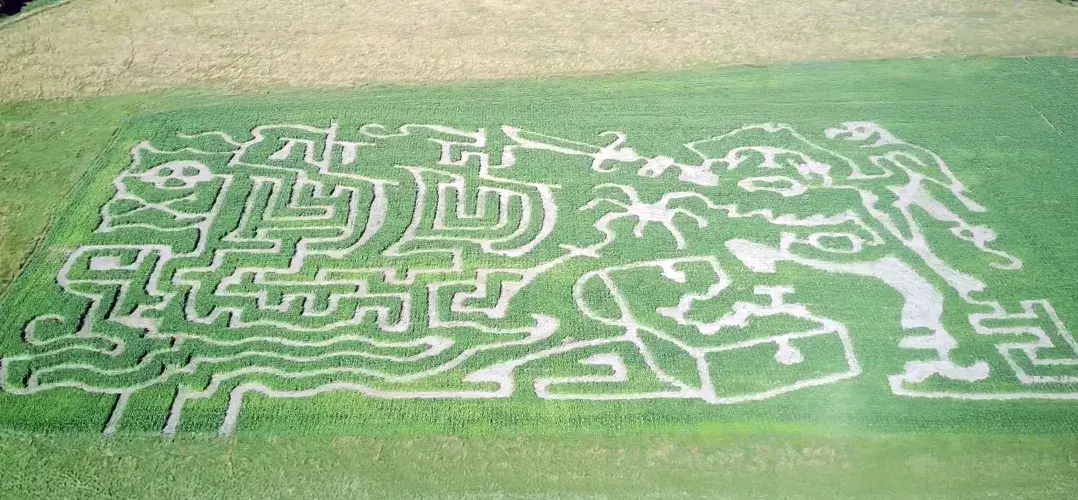 Pirate Themed Corn Maze