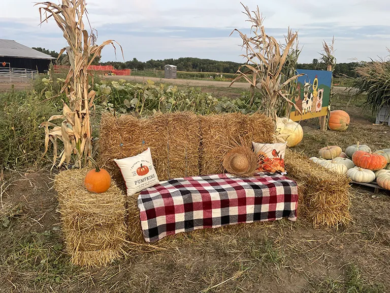 Around The Farm