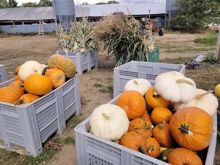 Around The Farm