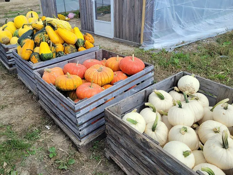 Around The Farm