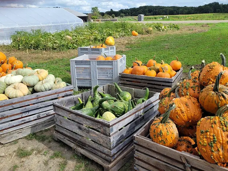 Around The Farm